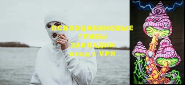 гидра Пересвет