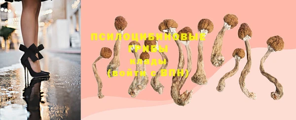 прущие крисы Покачи