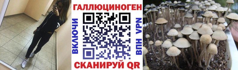 Псилоцибиновые грибы GOLDEN TEACHER  Звенигород 